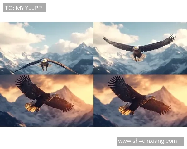 老鹰展翅高飞,稳定防守与出色进攻击败骑士